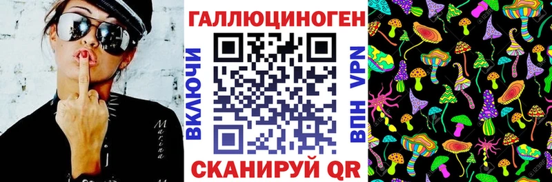 Купить где  Южно-Сухокумск  Псилоцибиновые грибы MAGIC MUSHROOMS 